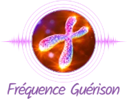 Logo du site web